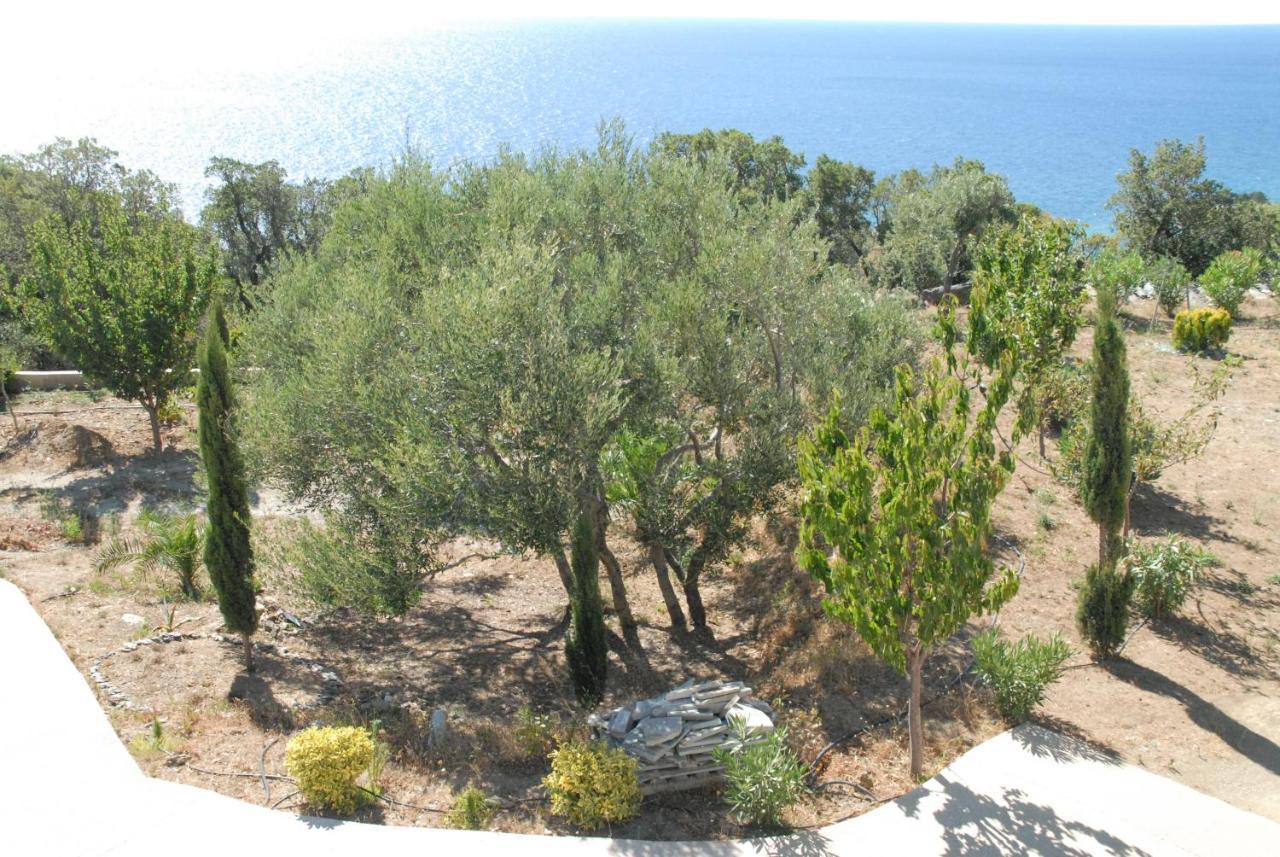 Appartement Vue Sur Mer Santa-Maria-di-Lota Екстер'єр фото